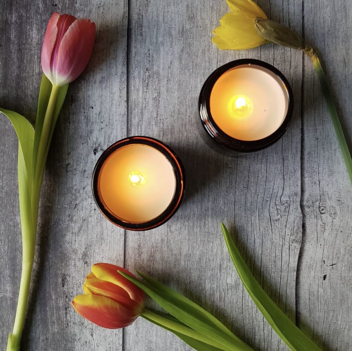 Fresh Candle | Cucumber & Melon Scent | Dalia's