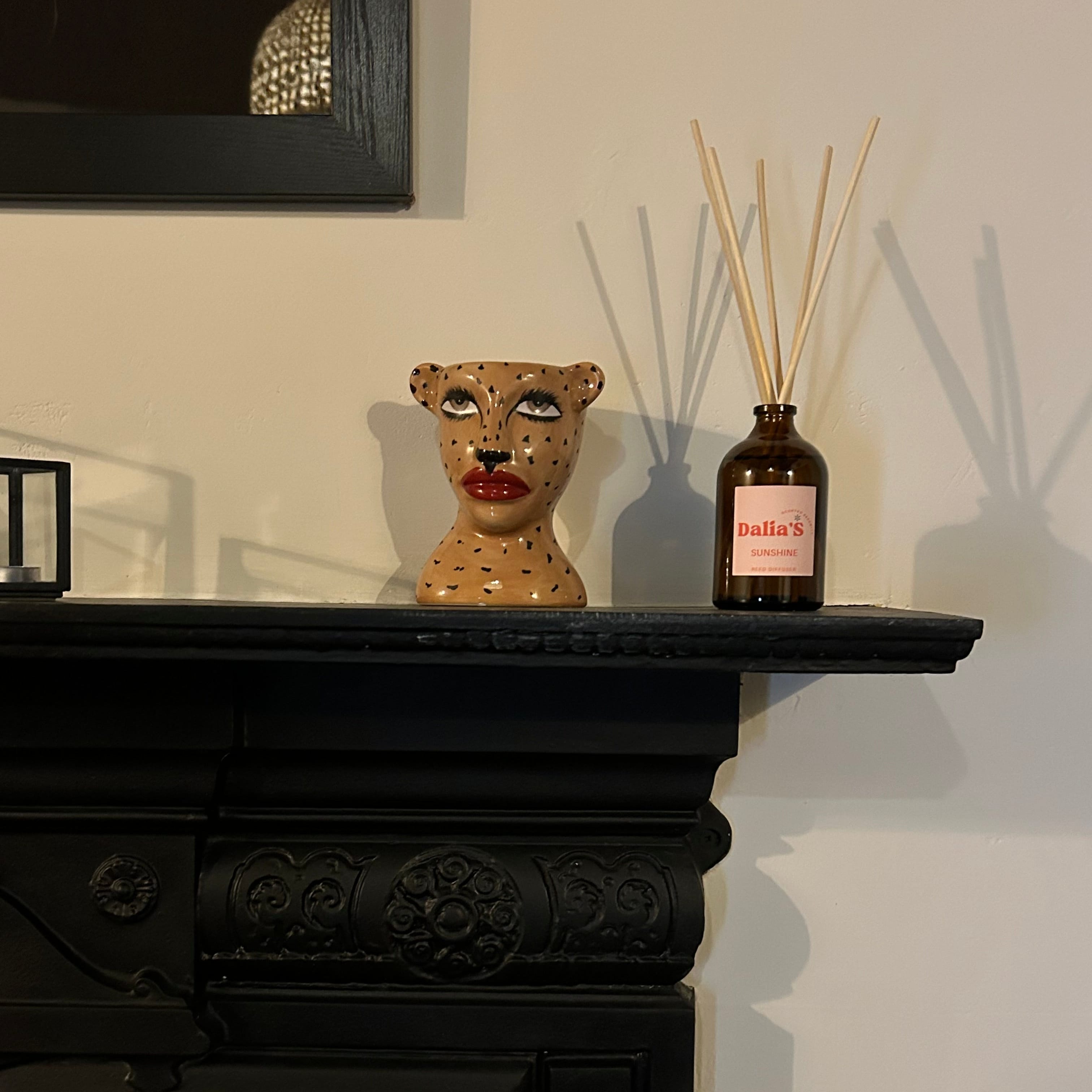Cosy Gift Set