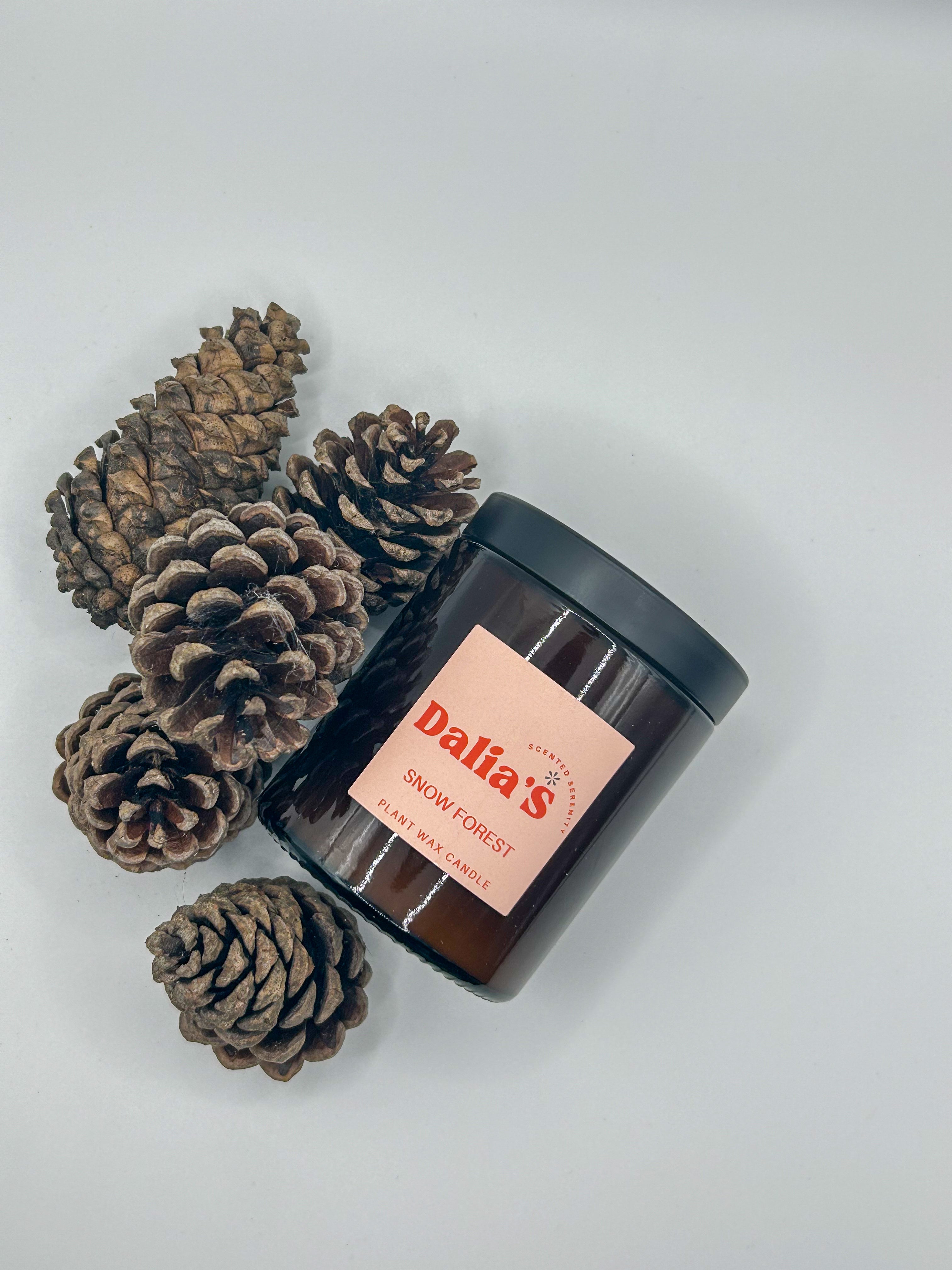 Christmas Candle Collection