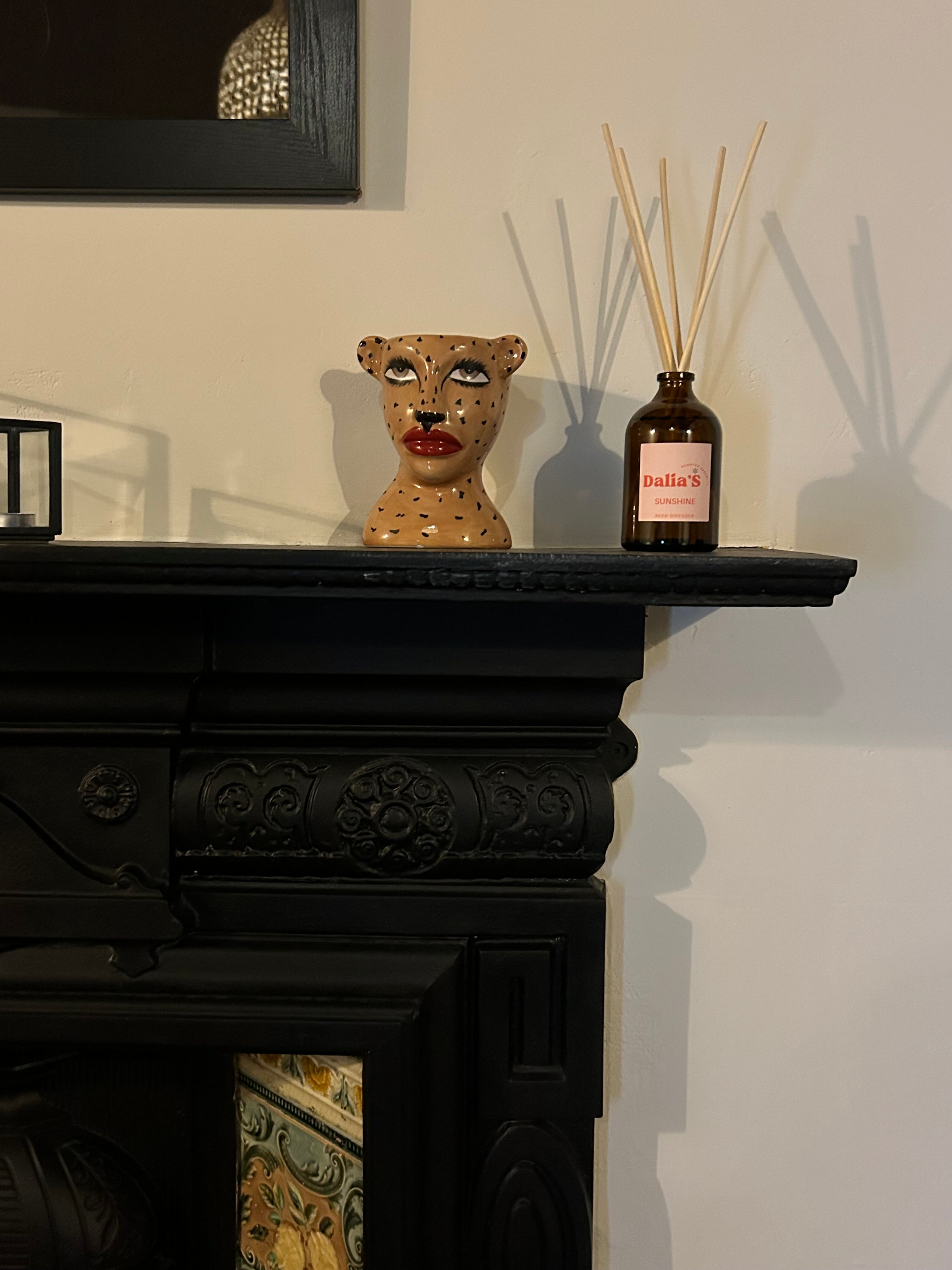 Cosy Gift Set